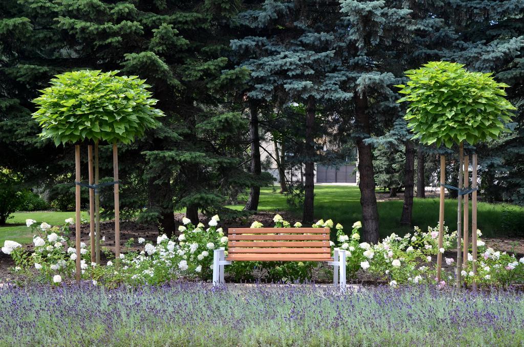 Domus Mater Hotel Краков Экстерьер фото